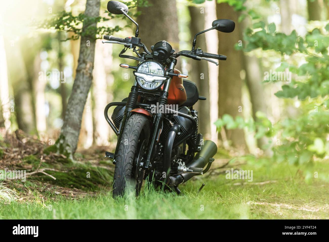 Eine Moto Guzzi steht in einem Wald, Baden Württemberg, Deutschland. Guzzi V7 850 *** Una Moto Guzzi in una foresta, Baden Württemberg, Germania Guzzi V7 850 Foto Stock