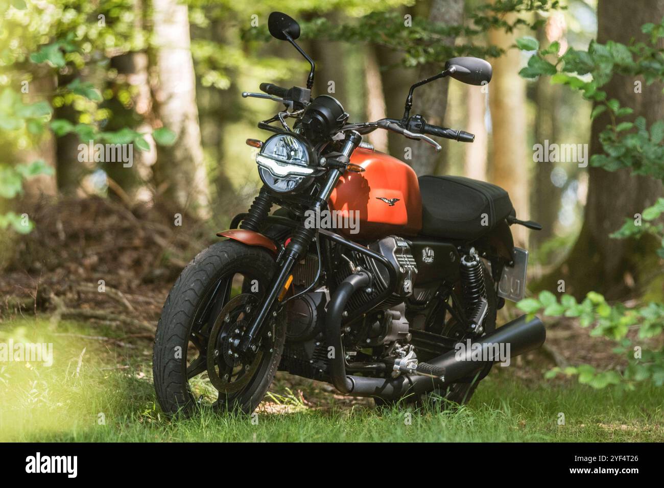 Eine Moto Guzzi steht in einem Wald, Baden Württemberg, Deutschland. Guzzi V7 850 *** Una Moto Guzzi in una foresta, Baden Württemberg, Germania Guzzi V7 850 Foto Stock