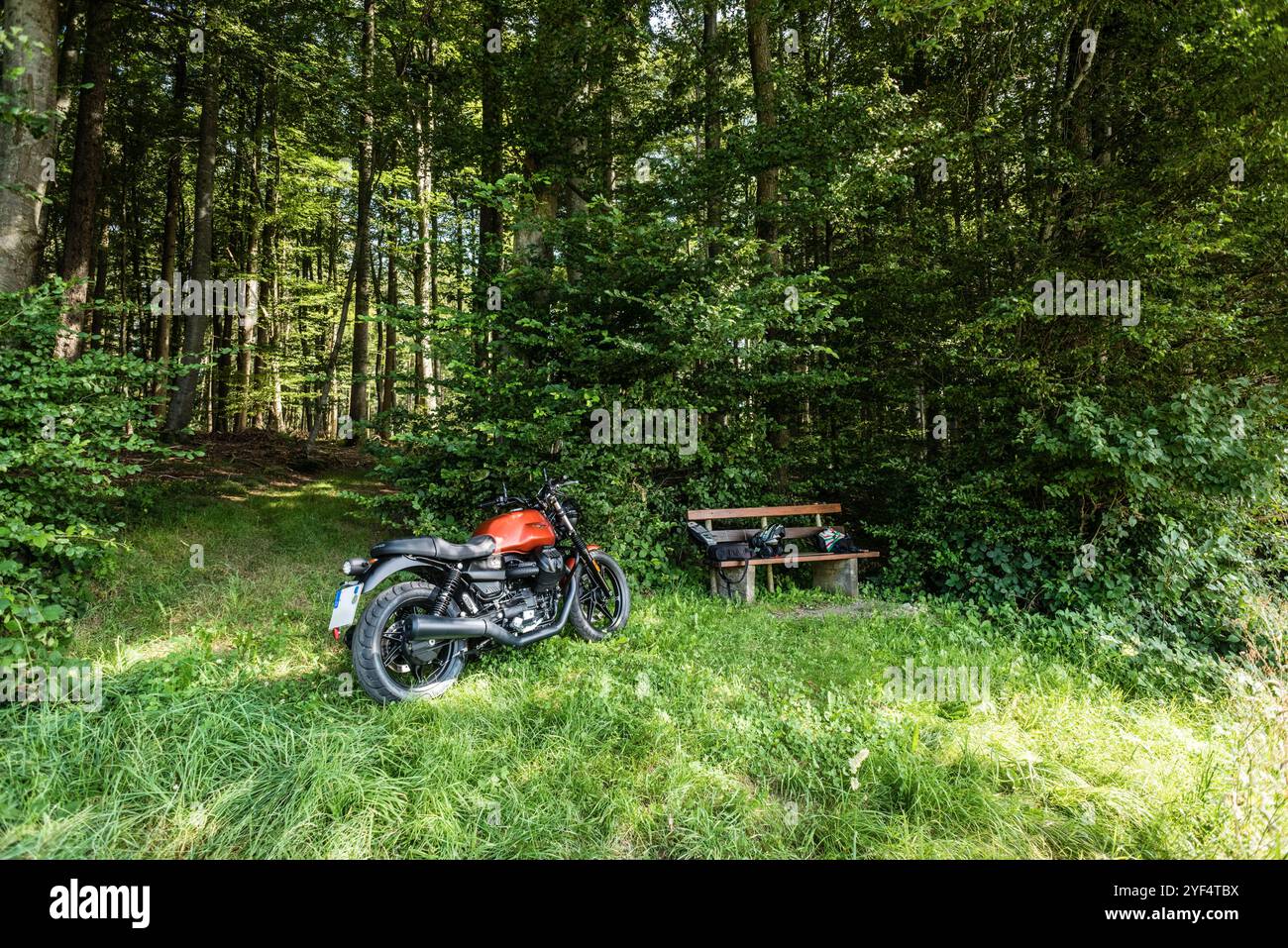 Eine Moto Guzzi steht in einem Wald, Baden Württemberg, Deutschland. Guzzi V7 850 *** Una Moto Guzzi in una foresta, Baden Württemberg, Germania Guzzi V7 850 Foto Stock