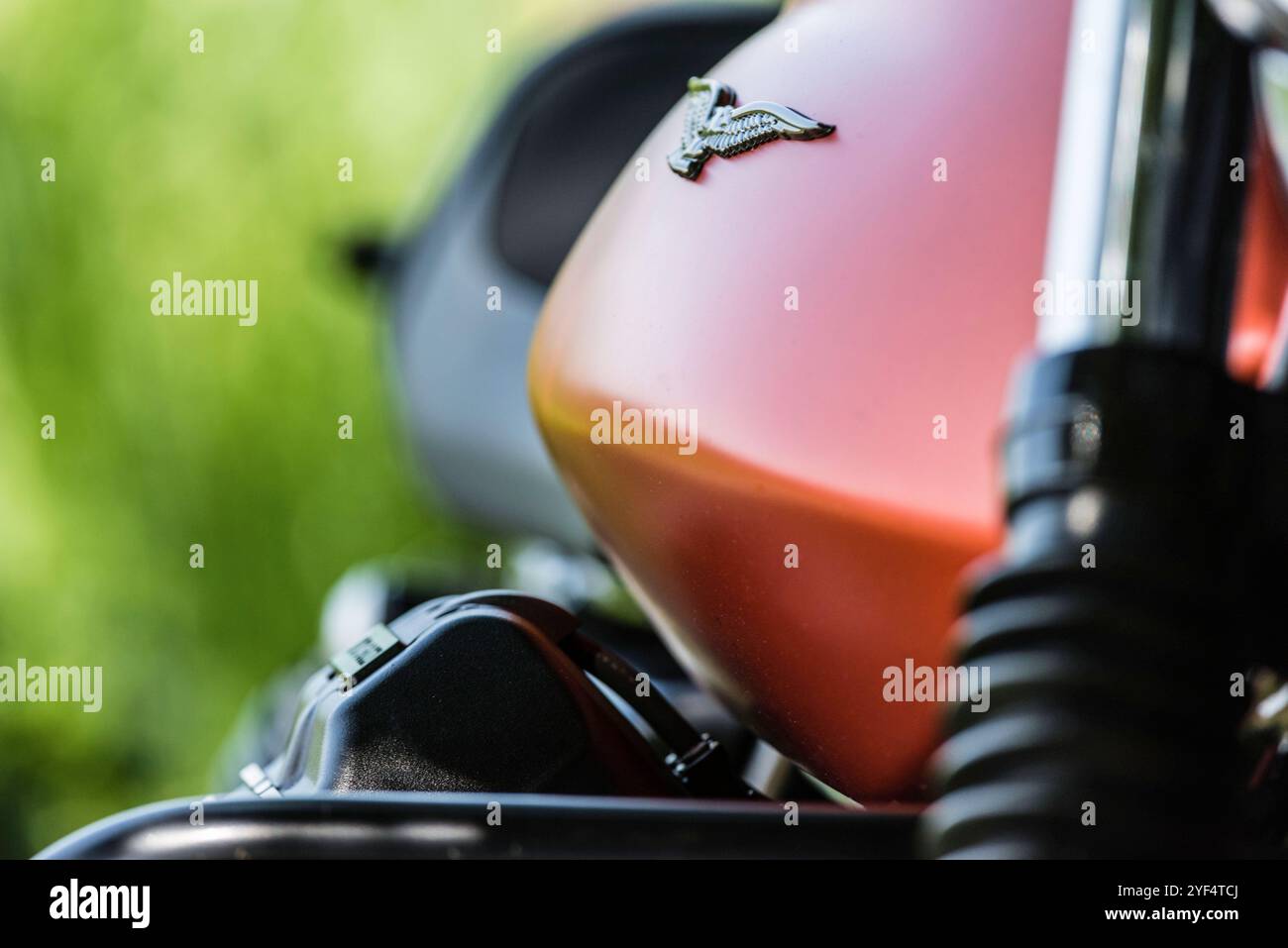 Blick auf einen Adler der auf einem Motorradtank einer Moto Guzzi angebracht. Guzzi V7 850 *** Vista di un'aquila montata su un serbatoio motociclistico di una Moto Guzzi Guzzi V7 850 Foto Stock
