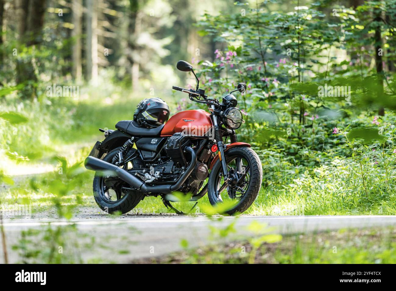 Eine Moto Guzzi steht am Waldrand neben einer Strasse, auf dem Sitz liegt ein Motorradhelm, Baden Württemberg, Deutschland. Guzzi V7 850 *** Una Moto Guzzi si trova ai margini di un bosco vicino a una strada, un casco da moto si trova sul sedile, Baden Württemberg, Germania Guzzi V7 850 Foto Stock