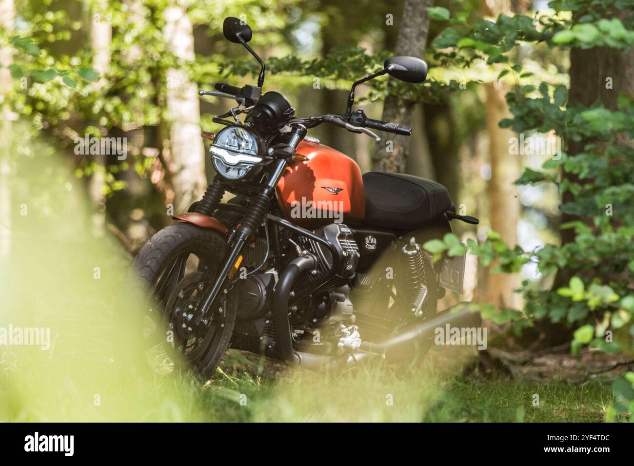 Eine Moto Guzzi steht in einem Wald, Baden Württemberg, Deutschland. Guzzi V7 850 *** Una Moto Guzzi in una foresta, Baden Württemberg, Germania Guzzi V7 850 Foto Stock