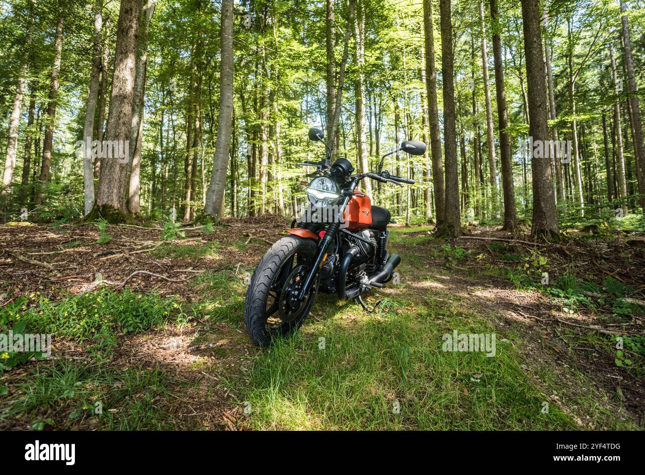 Eine Moto Guzzi steht in einem Wald, Baden Württemberg, Deutschland. Guzzi V7 850 *** Una Moto Guzzi in una foresta, Baden Württemberg, Germania Guzzi V7 850 Foto Stock