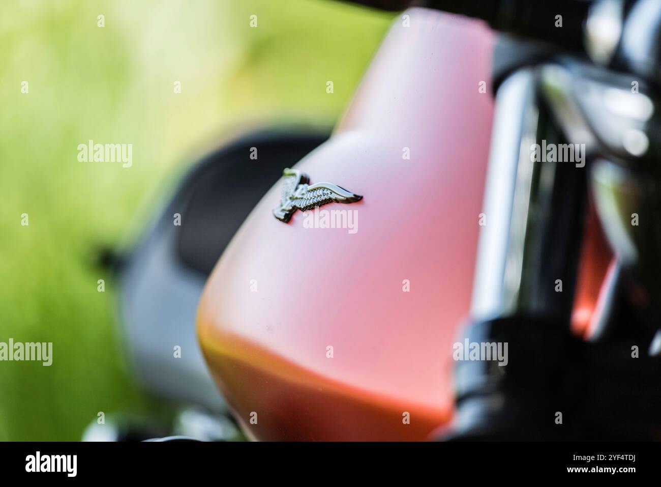 Blick auf einen Adler der auf einem Motorradtank einer Moto Guzzi angebracht. Guzzi V7 850 *** Vista di un'aquila montata su un serbatoio motociclistico di una Moto Guzzi Guzzi V7 850 Foto Stock