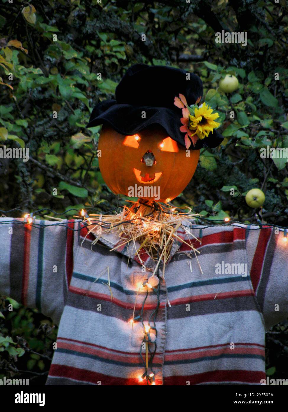 Uomo di Halloween in giardino Foto Stock