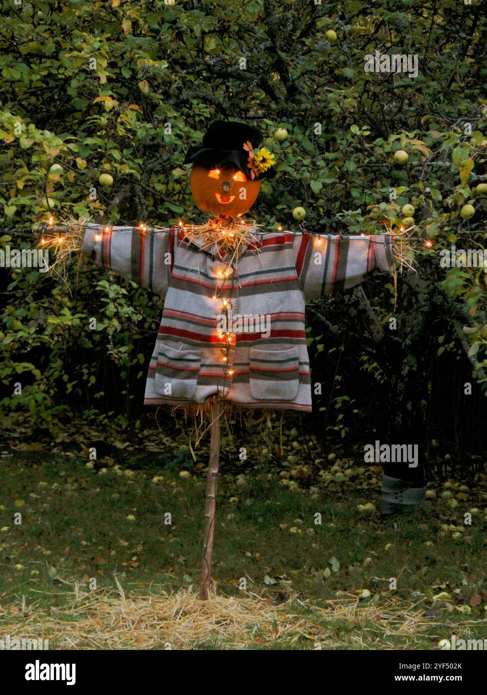 Uomo di Halloween in giardino Foto Stock