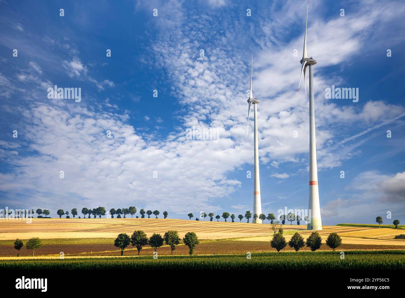 Produzione di energia verde nell'area di sosta di Sintfeld sulla A44, Bad Wunnenberg, Germania Foto Stock