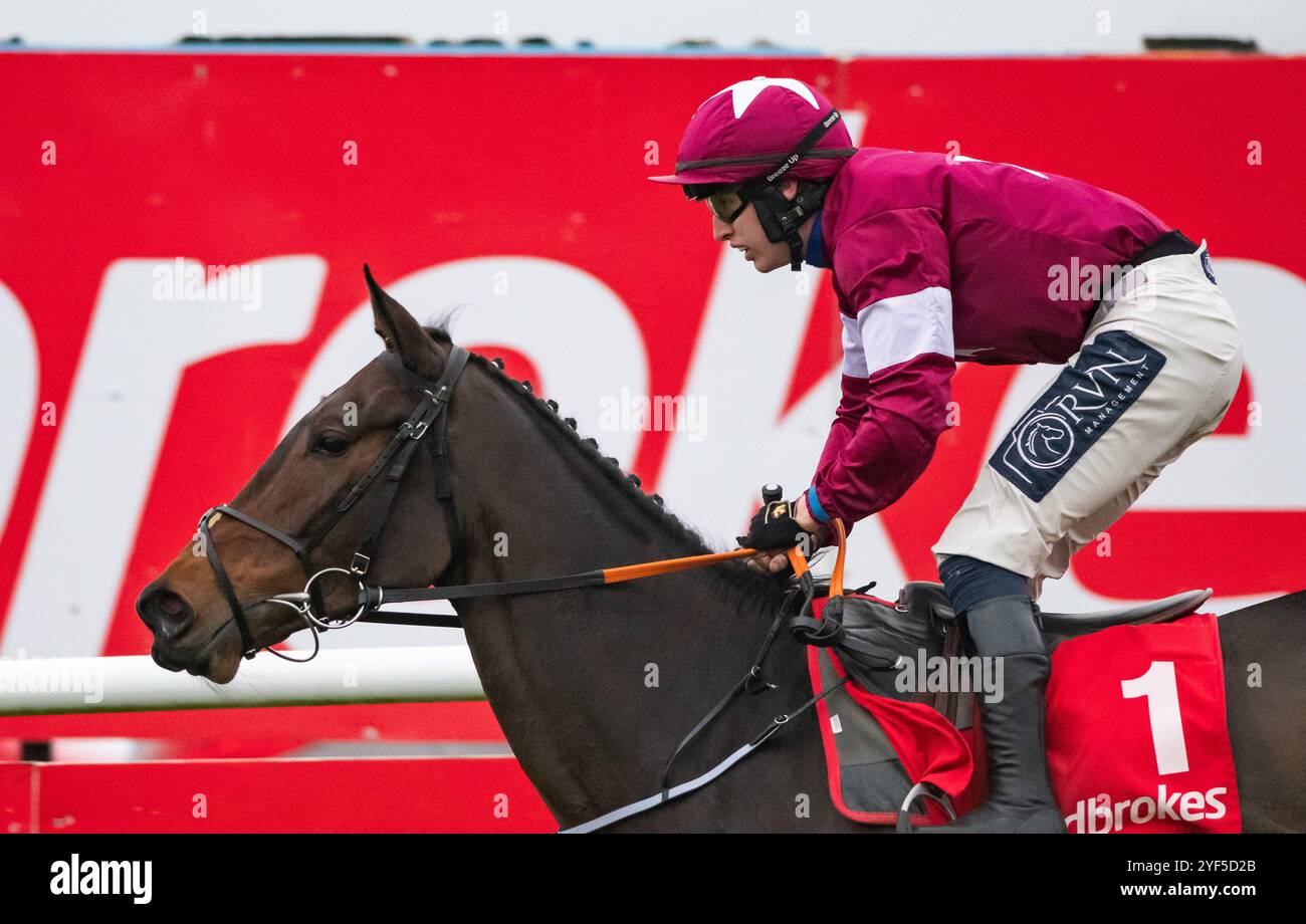 A Down Royal, Irlanda del Nord. Sabato 2 novembre 2024. Classic Creek e Mr H C Swan vincono la Ladbrokes Pro/AM Flat Race per l'allenatore Gordon Elliott e i proprietari di Gigginstown House Stud Credit: JTW Equine Images/Alamy Live News Foto Stock
