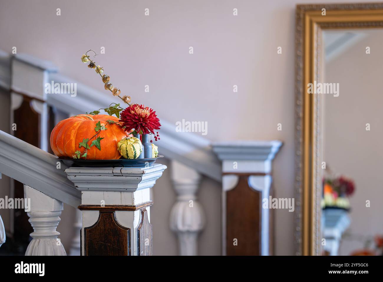 Semplice composizione floreale autunnale con crisantemo rosso, edera e zucche. Design degli interni con fiori e zucche autunnali su colonna in legno. Foto Stock