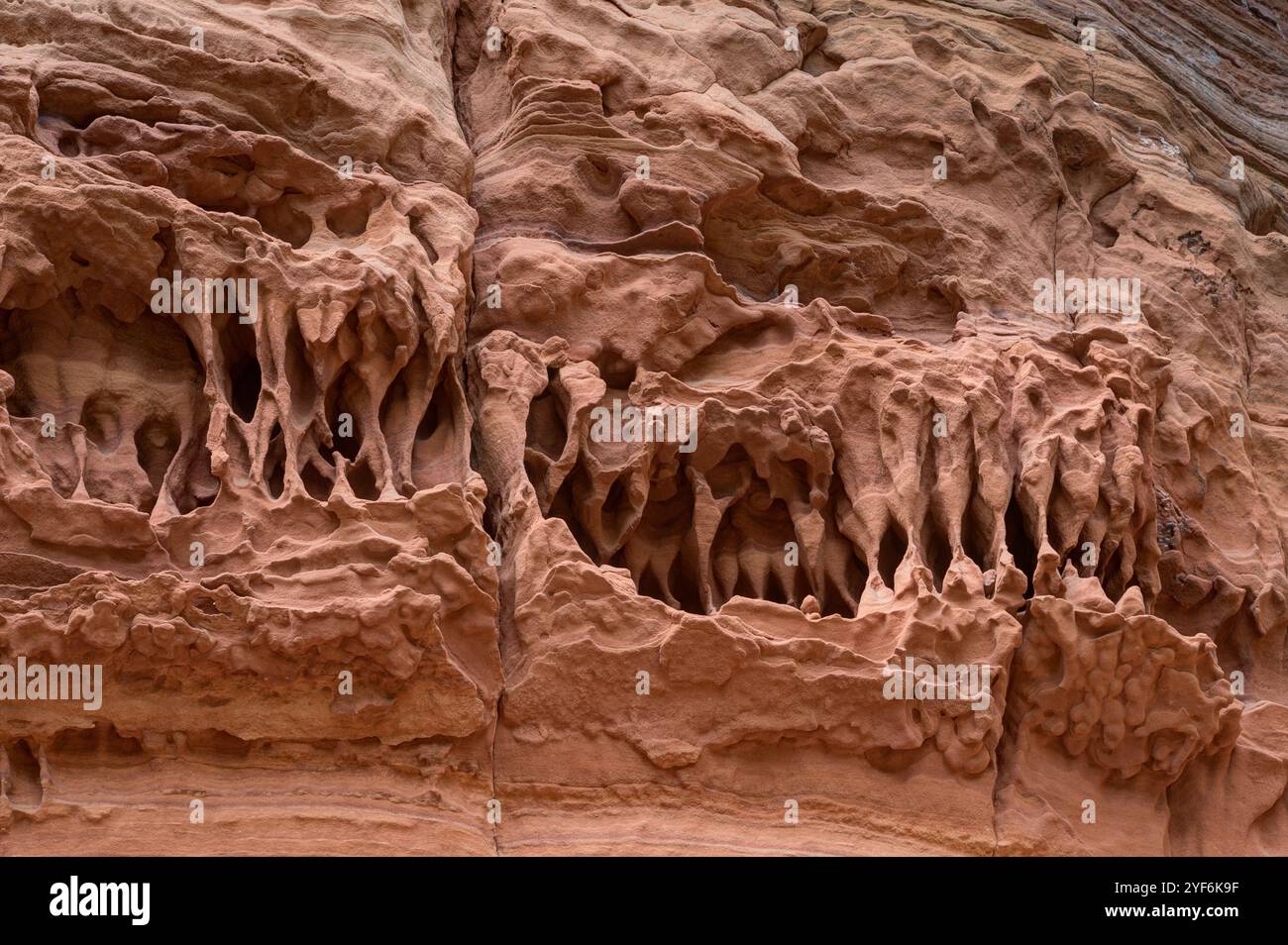 La roccia di arenaria ricorda i denti minacciosi di un Tyrannosaurus Rex. Foto Stock