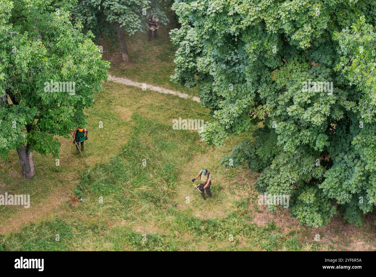 un team di lavoratori taglia l'erba con un decespugliatore a benzina in città, vista dall'alto Foto Stock