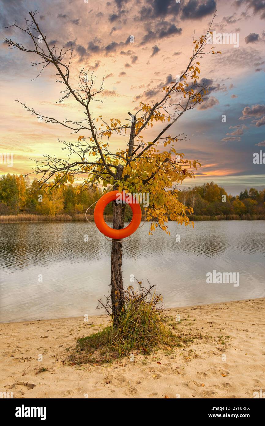 Paesaggio autunnale con spiaggia sul fiume, tramonto cielo spettacolare e salvagente appeso sull'albero. Foto Stock