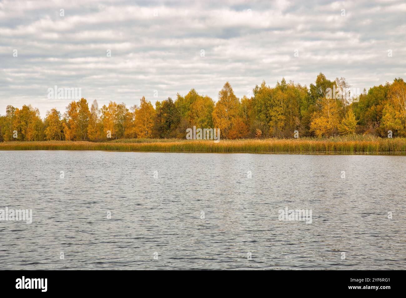 Paesaggio autunnale con cielo nuvoloso, foresta e fiume. Foto Stock