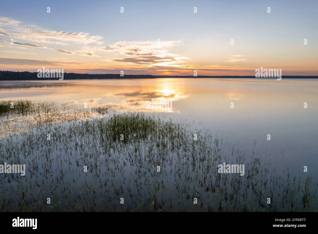 Vista panoramica aerea con droni sull'alba del Lago bianco nella regione di Rivne, Ucraina. Foto Stock