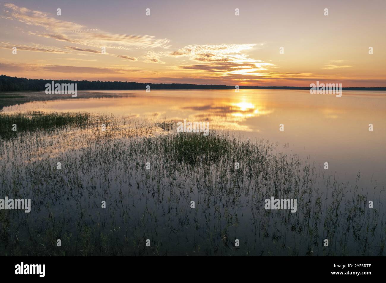 Vista panoramica aerea con droni sull'alba del Lago bianco nella regione di Rivne, Ucraina. Foto Stock