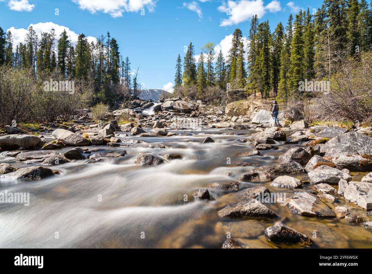 Cascate Otter nella natura selvaggia del territorio dello Yukon, nel nord del Canada in estate, con una splendida giornata di cielo blu e una foresta boreale perfetta. Foto Stock