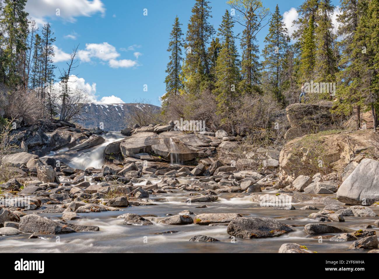 Cascate Otter nella natura selvaggia del territorio dello Yukon, nel nord del Canada in estate, con una splendida giornata di cielo blu e una foresta boreale perfetta. Foto Stock