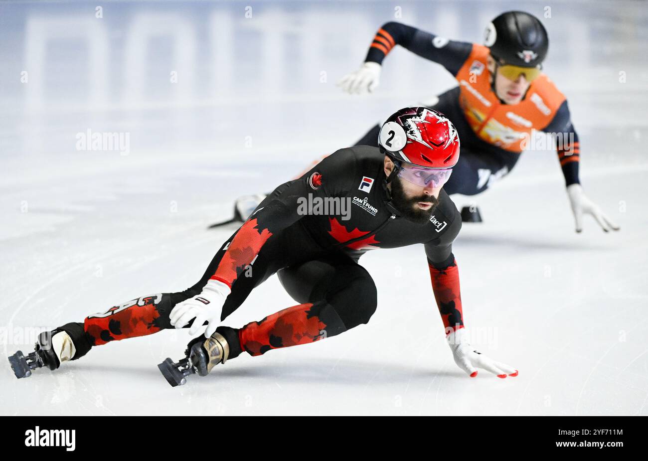 MONTREAL, QUEBEC, CANADA: Steven Dubois dal Canada (2) gareggia durante la gara finale di staffetta mista di 2000 m all'evento ISU World Tour Short Track Speed Skating di Montreal, domenica 3 novembre 2024. Foto Graham Hughes/Freelance credito: Graham Hughes/Alamy Live News Foto Stock