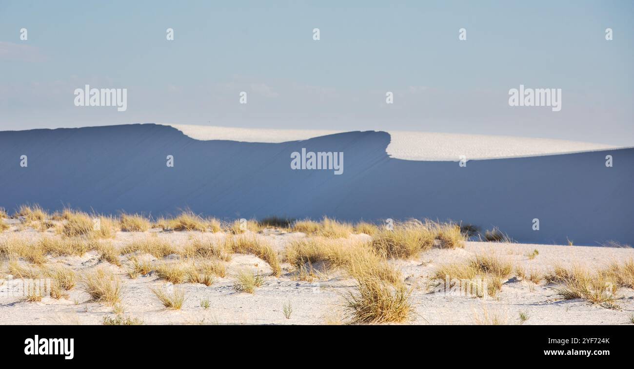 Motivi ondulati nelle dune di sabbia con vegetazione del deserto dorato che cresce a Forground Foto Stock