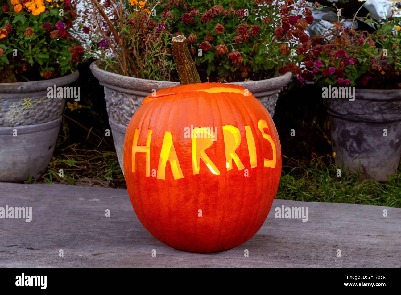 2024 esposizione delle elezioni presidenziali degli Stati Uniti con il cognome del democratico Kamala Harris scolpito in una zucca / Jack-o’-Lantern, Minneapolis, Minnesota Foto Stock