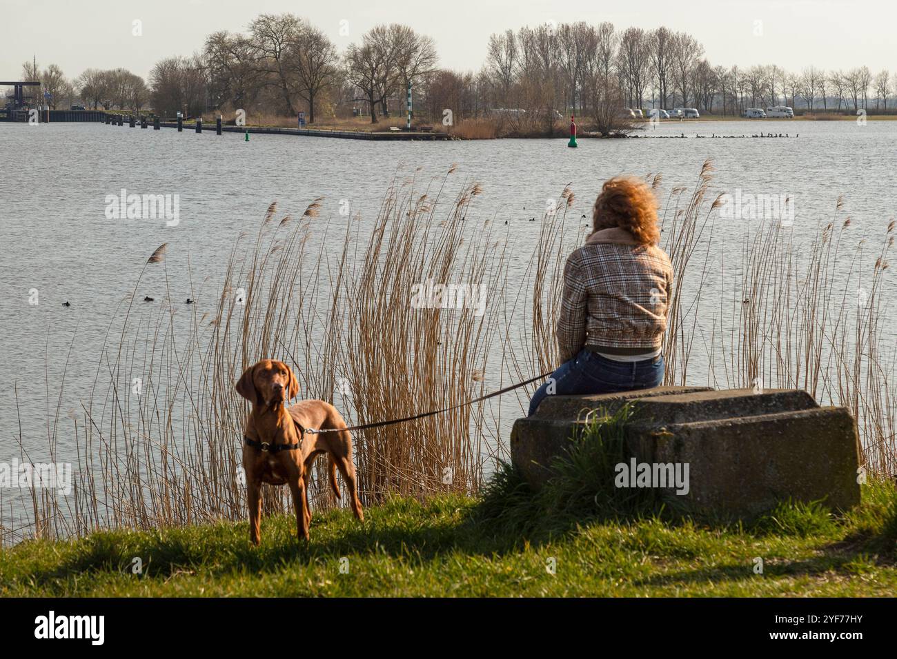 Donna con cane siede su una grande pietra lungo il lungomare e guarda l'acqua che scorre. Foto Stock
