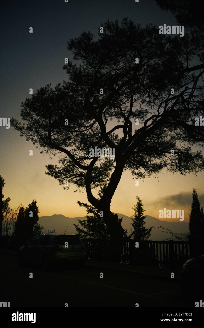 "I vigneti dorati, le mattine nebbiose e le calde sfumature dell'autunno: Scopri la magia dell'Italia rurale in autunno. 🍂🇮🇹 Foto Stock