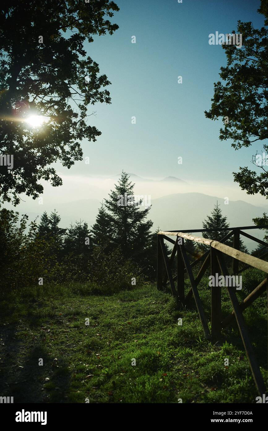 "I vigneti dorati, le mattine nebbiose e le calde sfumature dell'autunno: Scopri la magia dell'Italia rurale in autunno. 🍂🇮🇹 Foto Stock