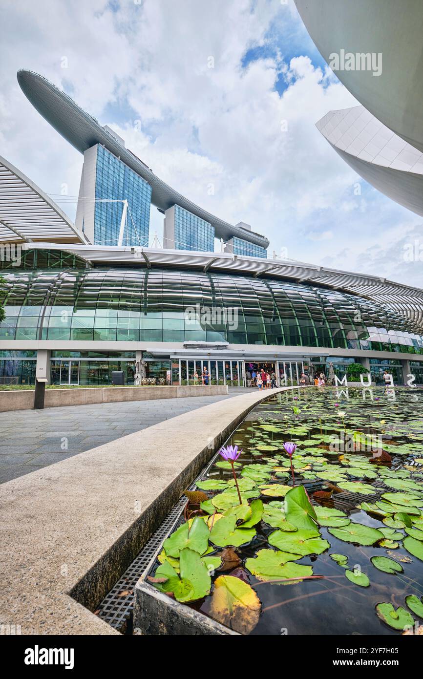 Singapore - agosto 2024: Laghetto di giglio sotto il design a forma di loto del museo delle scienze artistiche situato di fronte a Marina Bay Sands Foto Stock