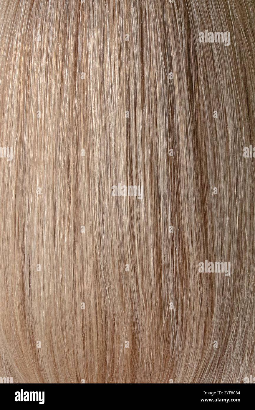 Campione di capelli lisci biondi. Finitura lucida del ferro piatto. Luci luminose. Colore dei capelli. Foto Stock