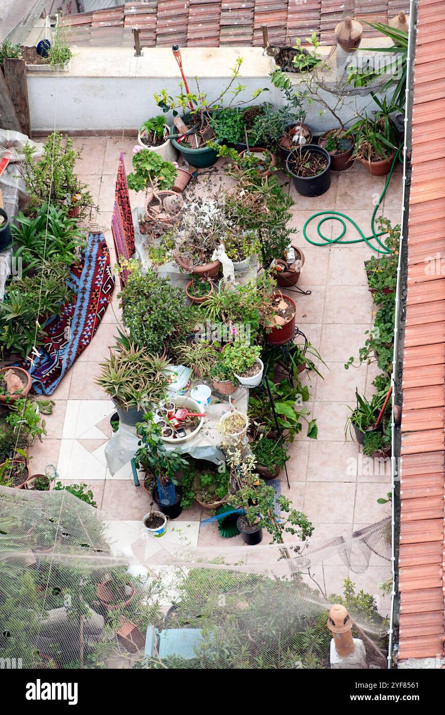 Vista aerea di un accogliente giardino sul tetto pieno di un assortimento di piante in vaso, attrezzi da giardino e un tappeto colorato che crea una vibrante oasi urbana. Foto Stock