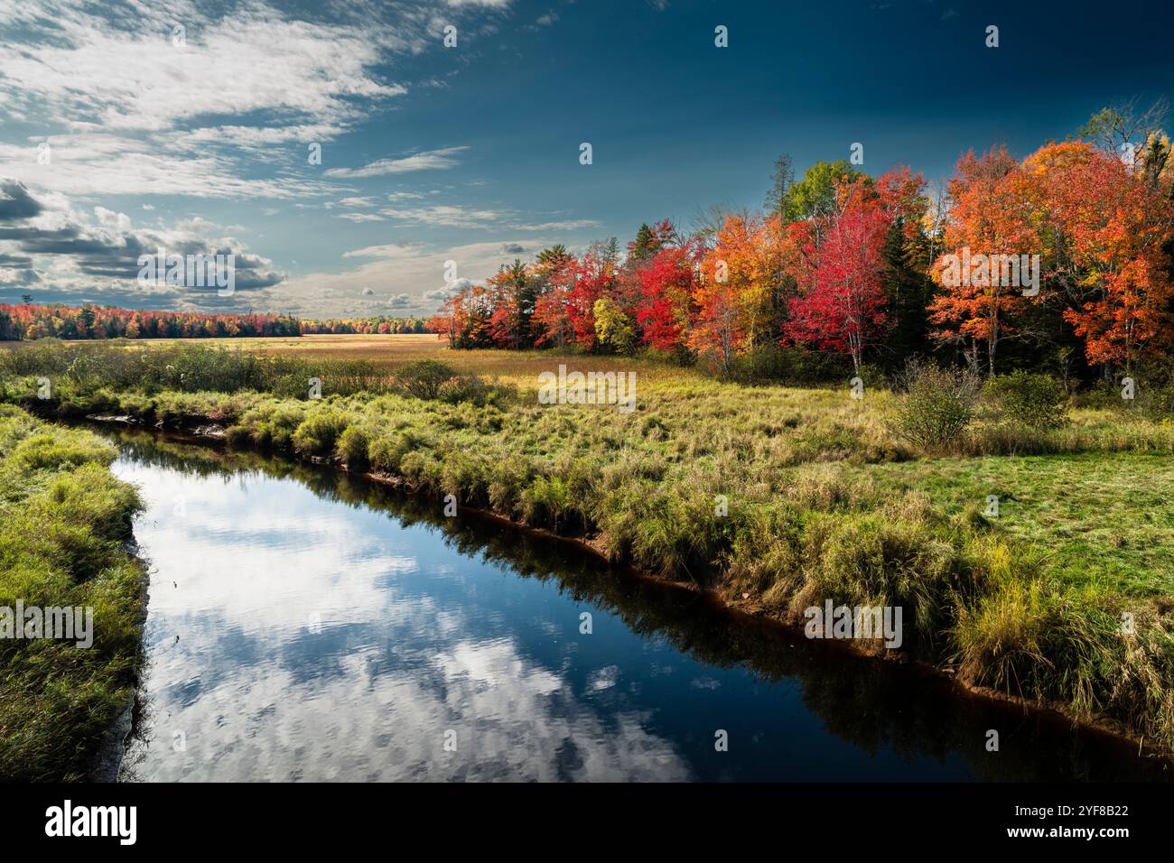 Autunno lungo il fiume Cogmagun _ Cogmagun, nuova Scozia, CAN Foto Stock