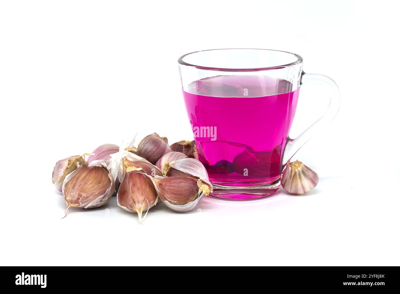 Spicchi d'aglio preparati per essere piantati in una soluzione di permanganato di potassio, con una vivace tonalità viola in una tazza di vetro su sfondo bianco. Foto Stock