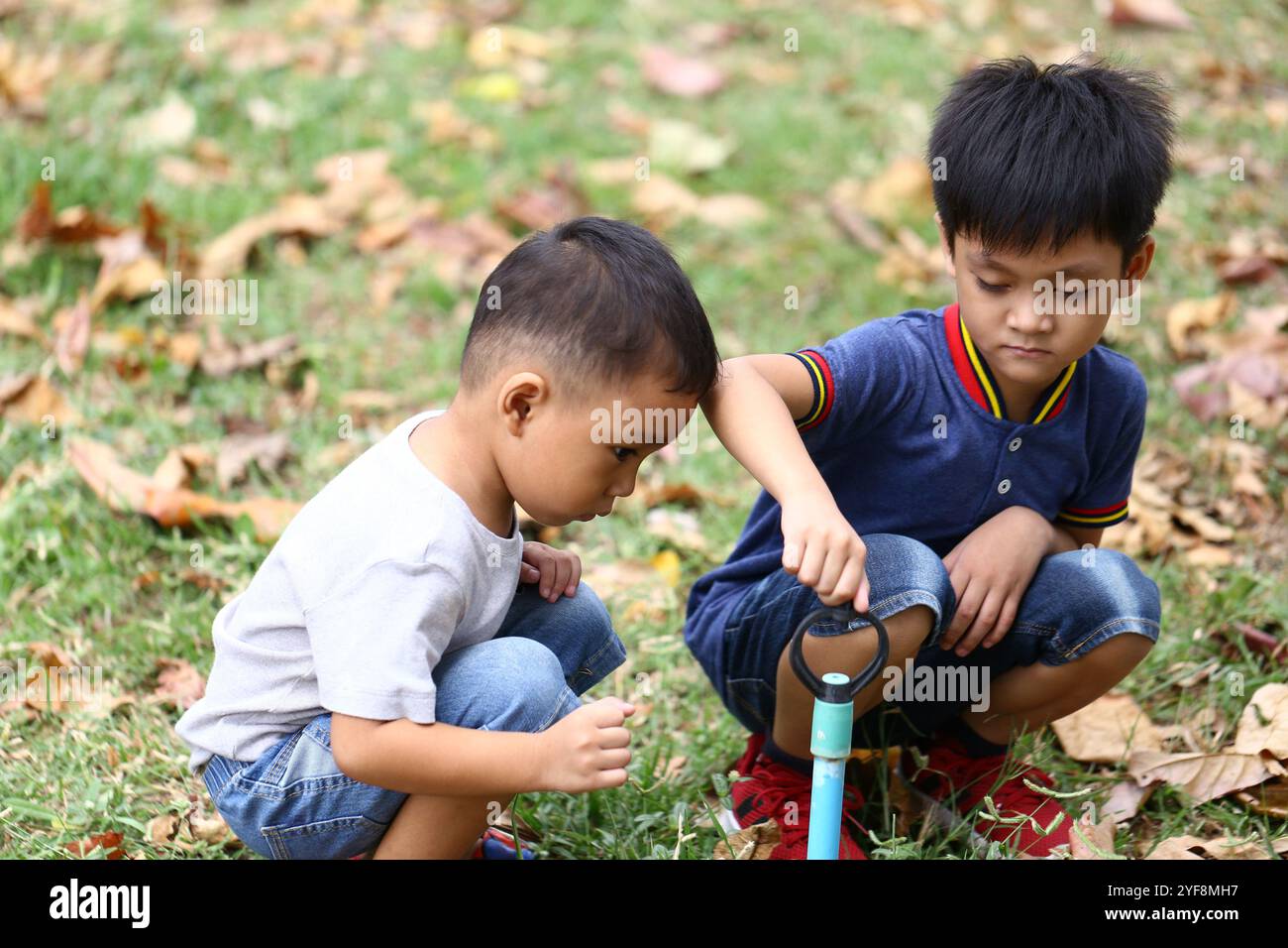 Due bambini esplorano la natura in un parco, circondato da foglie autunnali. La loro interazione focalizzata mette in evidenza un momento di curiosità e amicizia all'aperto Foto Stock