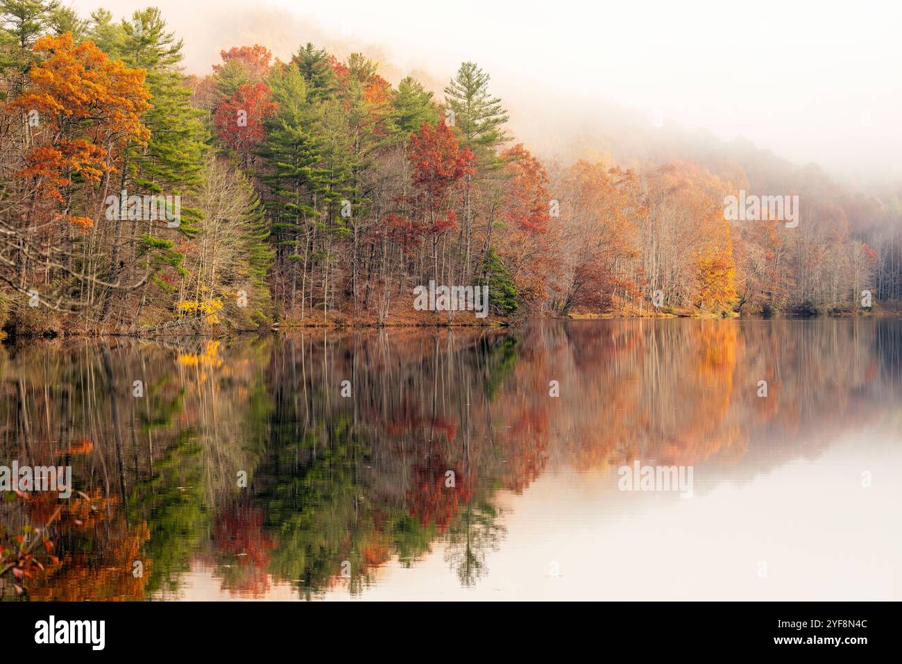 Misty mattina autunnale sul lago Julia, DuPont State Recreational Forest - Cedar Mountain, North Carolina, Stati Uniti Foto Stock