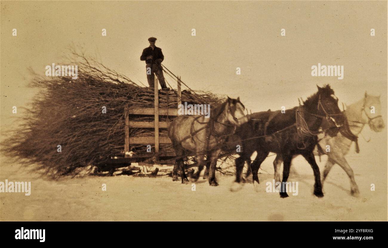 Homesteading, anni '1920, Saskatchewan, Canada Foto Stock
