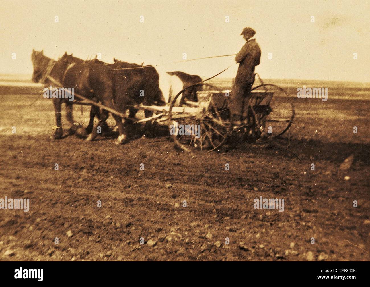 Homesteading, anni '1920, Saskatchewan, Canada Foto Stock