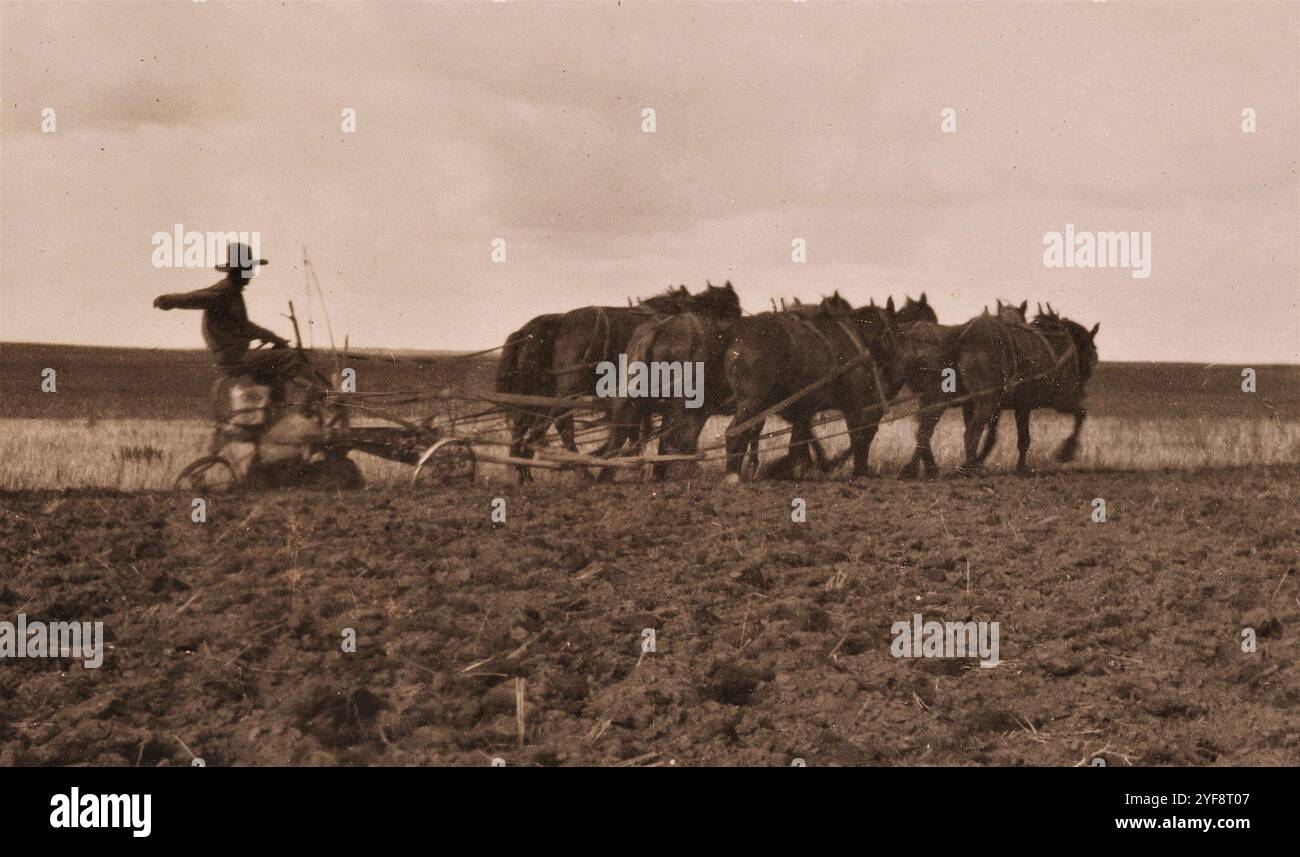 Homesteading, anni '1920, Saskatchewan, Canada Foto Stock