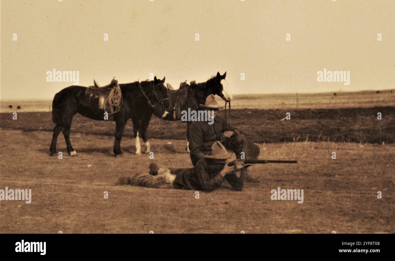 Homesteading, anni '1920, Saskatchewan, Canada Foto Stock
