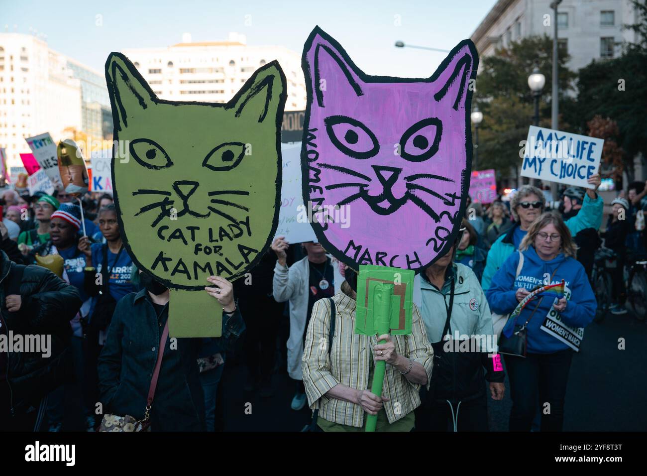 Washington, Stati Uniti. 2 novembre 2024. (Foto di Candice Tang/SOPA Images/Sipa USA) credito: SIPA USA/Alamy Live News Foto Stock