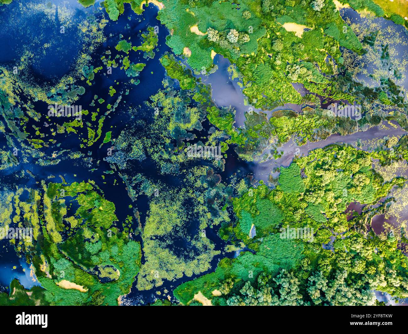 Antenna fuco vista fiume ventoso , attraversare ruscelli , e la vena come acqua modi svolta attraverso l'erba prato piano di verde e lussureggiante valle di montagna torrenti cross Foto Stock
