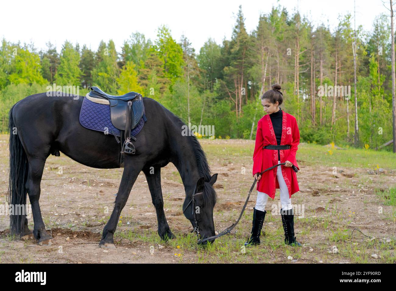 La ragazza è in piedi accanto a un cavallo in un campo. Il cavallo sta mangiando erba. La ragazza indossa un cappotto rosso e pantaloni bianchi Foto Stock