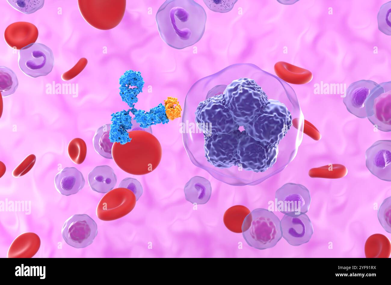 Terapia con anticorpi monoclonali nel linfoma a cellule T - Vista ravvicinata illustrazione 3d. Foto Stock