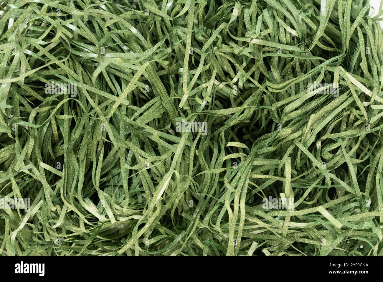 Riempitivo per coriandoli in scatola su sfondo bianco Foto Stock