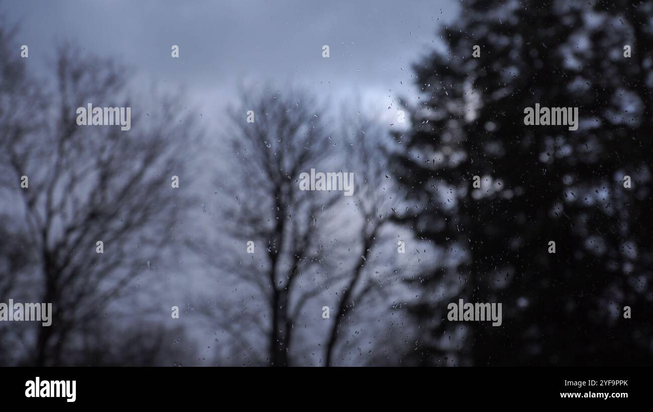 Le gocce di pioggia adornano il pannello della finestra, sfocando le sagome degli alberi senza foglie contro un cielo buio e tempestoso, catturando un momento inquietante durante una tempesta, c Foto Stock