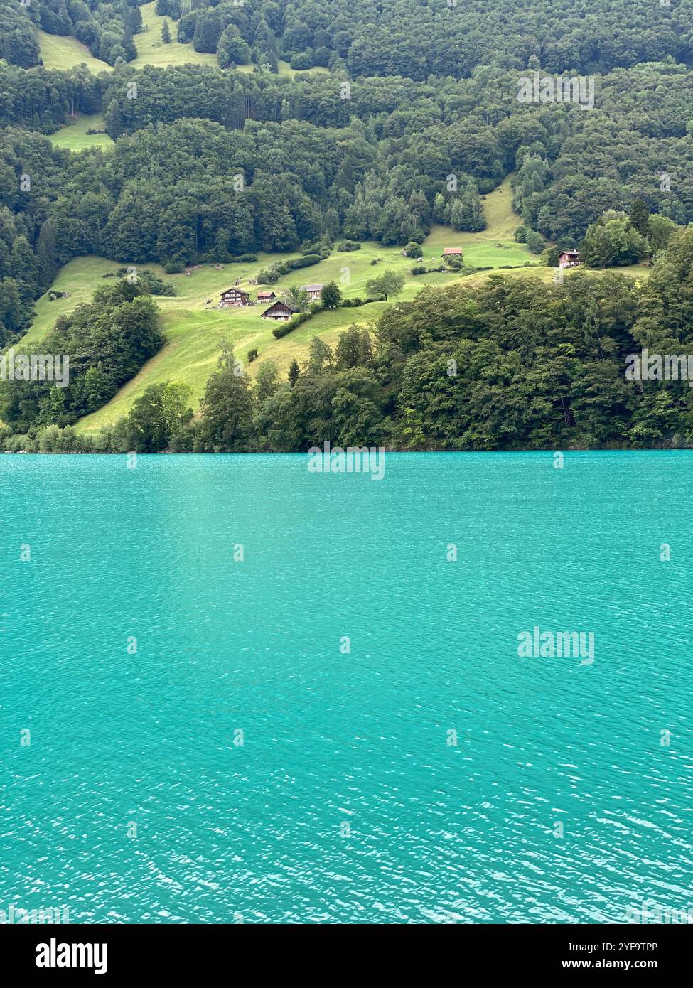 Thunersee, Interlaken, Svizzera Foto Stock