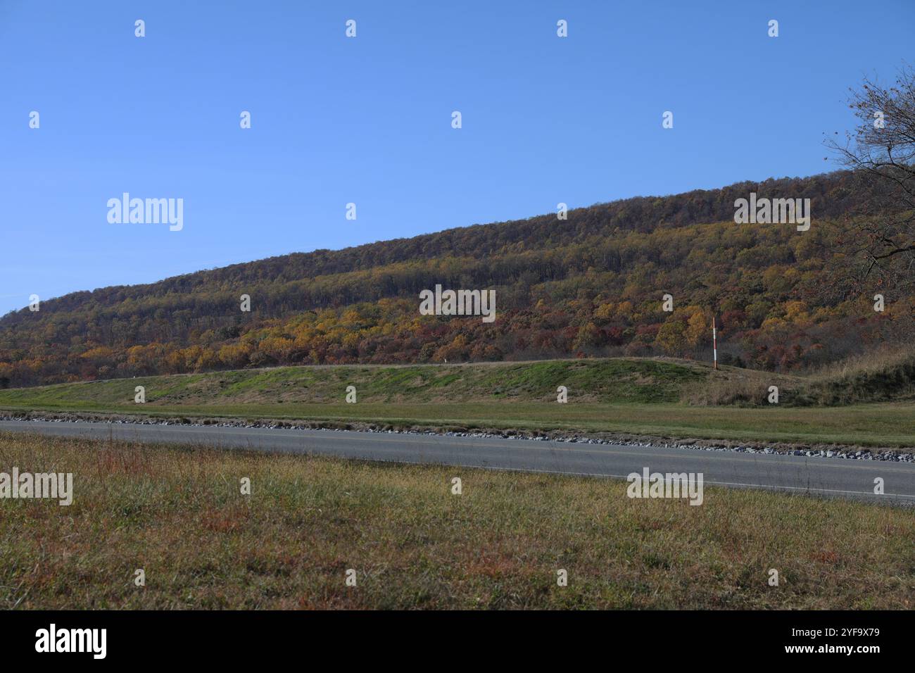 Soldati statunitensi assegnati al 382nd SAPPER Engineer Company, 365th Engineer Battalion, conducono l'addestramento dei conducenti a Fort Indiantown Gap, Pennsylvania, 2 novembre 2024. I soldati ottengono le licenze in Humvee, veicoli resistenti alle mine, protetti da imboscate e veicoli tattici medi leggeri per mantenere un eccellente standard di preparazione per le missioni future. (Foto della Guardia Nazionale dell'Esercito degli Stati Uniti di SPC. Aliyah Vivier) Foto Stock