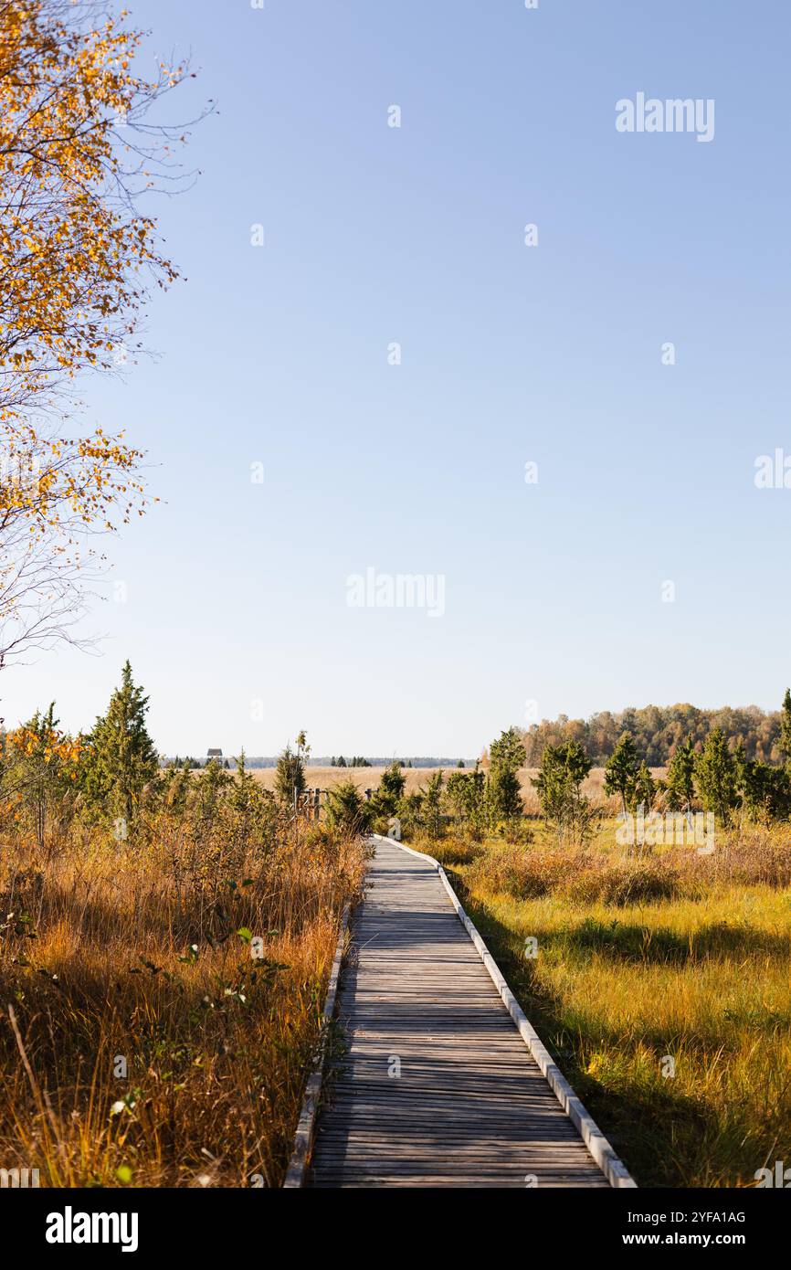 Soleggiato giorno autunnale con una passeggiata attraverso l'erba e gli alberi Foto Stock