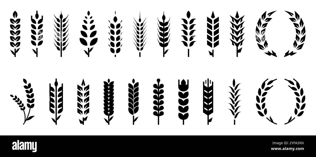 Logo Wheat. Punta d'orzo. Icona mais. Spikelet a foglia o grana. Pane di pani. Campo con paglia o diramazione. Birra di segale. Coltura di cereali avena. Seme silhouette nero Illustrazione Vettoriale