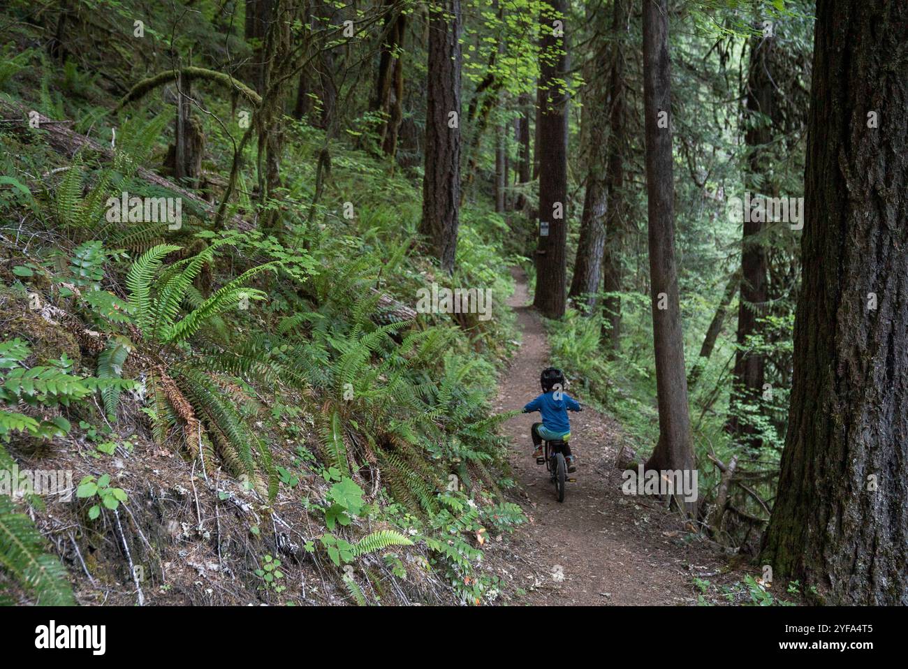 Un bambino di 4 anni corre lungo un sentiero soleggiato in un'alta foresta. Foto Stock