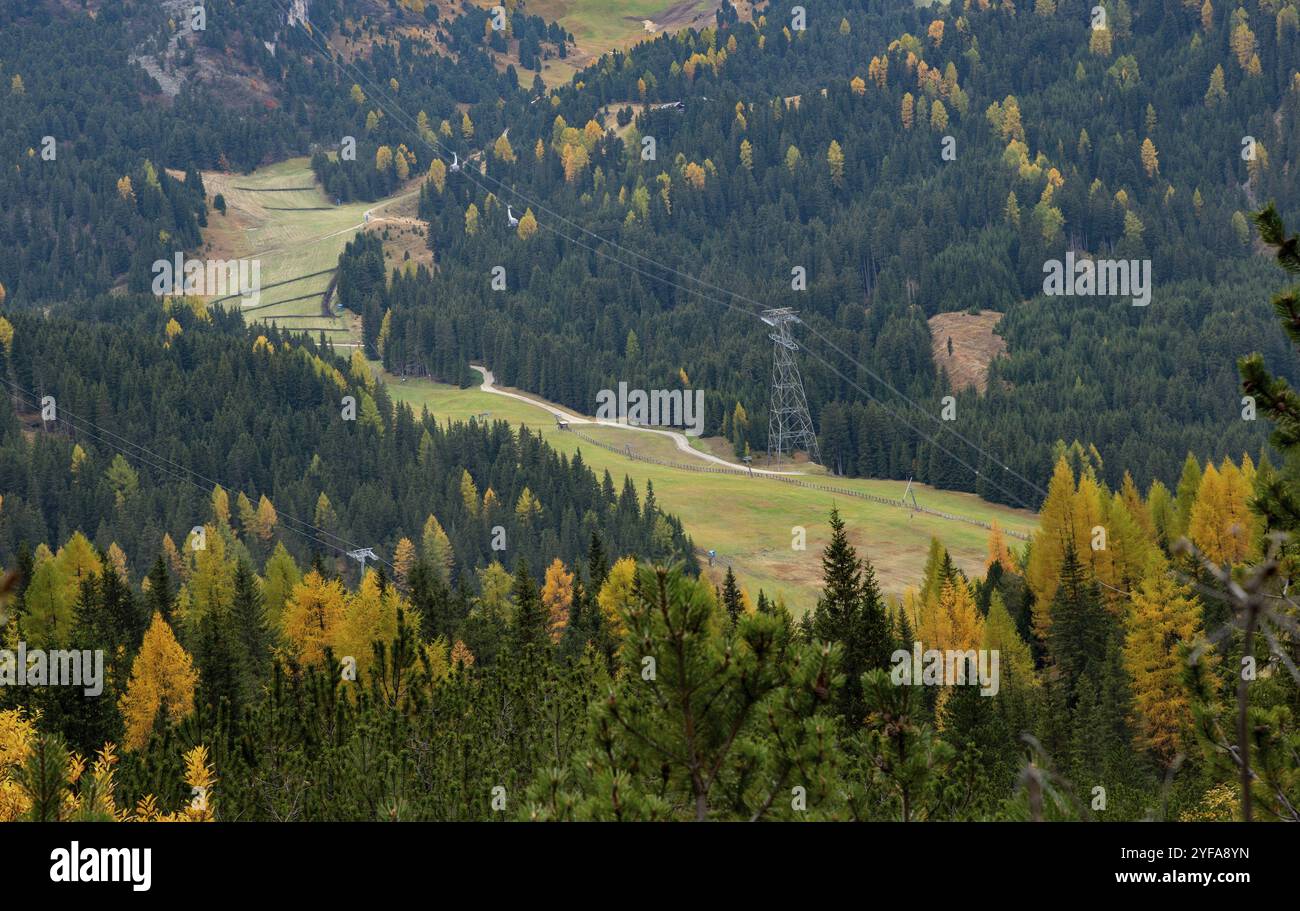 Alberi di Larche in una valle in autunno. Stazione sciistica nelle alpi. Paesaggio autunnale nella foresta. Cortina d'Ampezzo, Italia, Europa Foto Stock